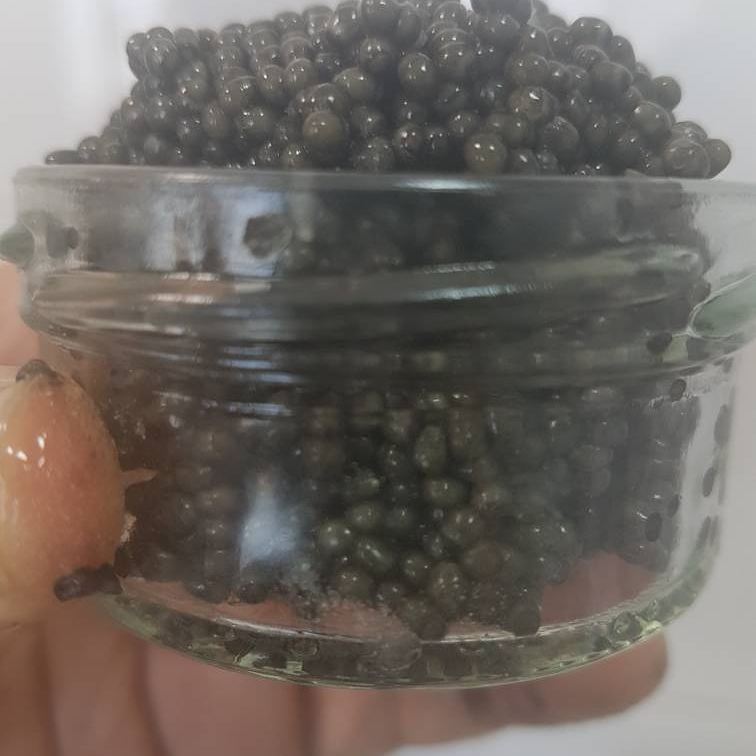 Difference Iranian caviar