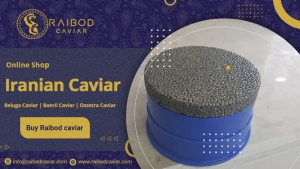 Price Beluga Caviar CFR Incheon Original Packing TT Payment