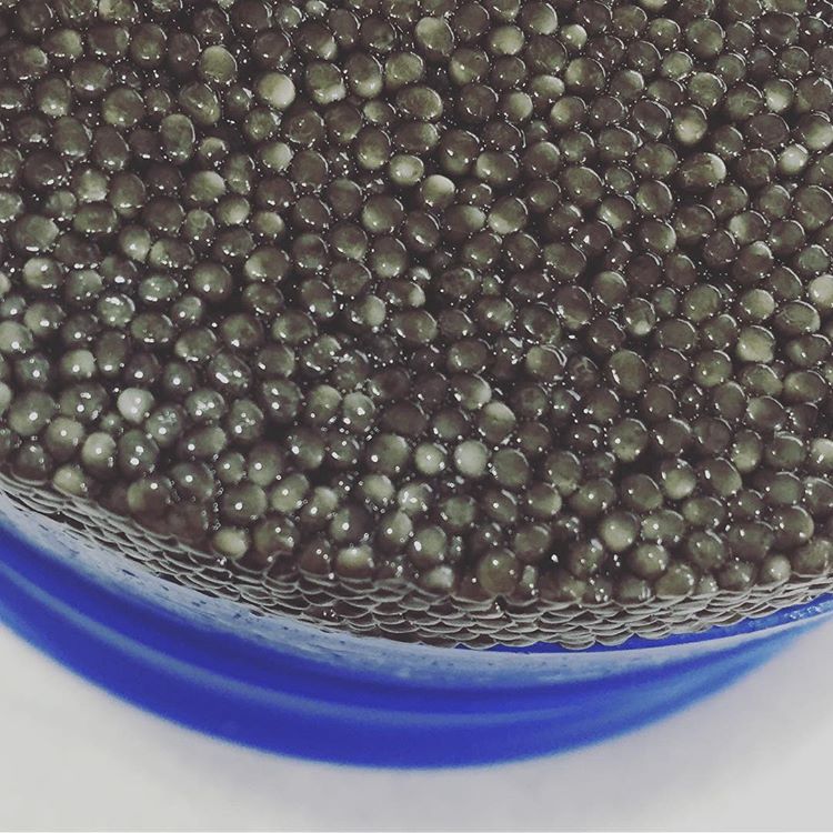 Iranian caviar exports rate 2017