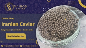High quality caviar daily price list